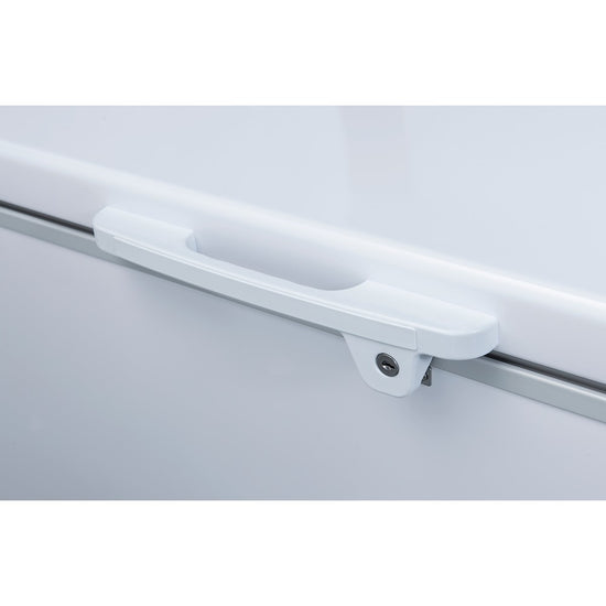 BD/BG-420 Commercial Chest Freezer