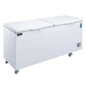 BD/BG-520 59 1/4" Commercial Chest Freezer